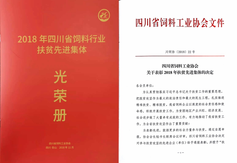 news05.jpg news05.jpg