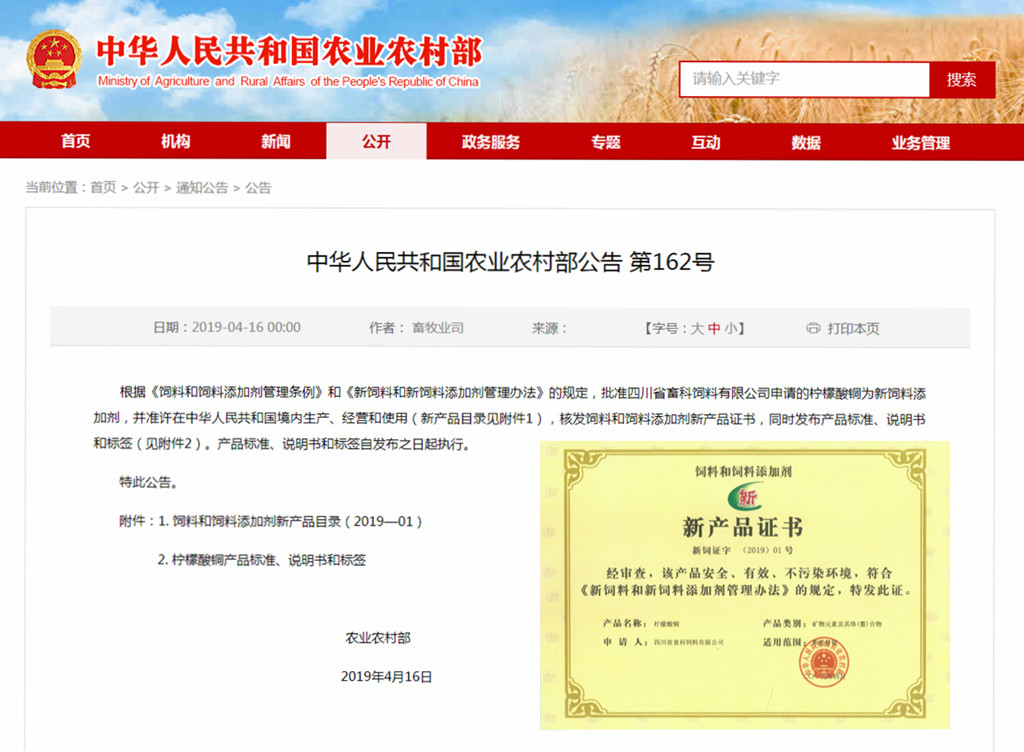 news06.jpg news06.jpg