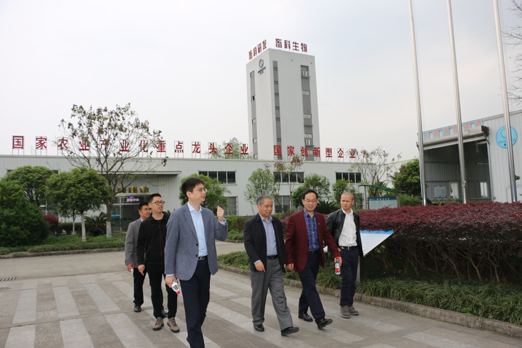 news04.jpg news04.jpg