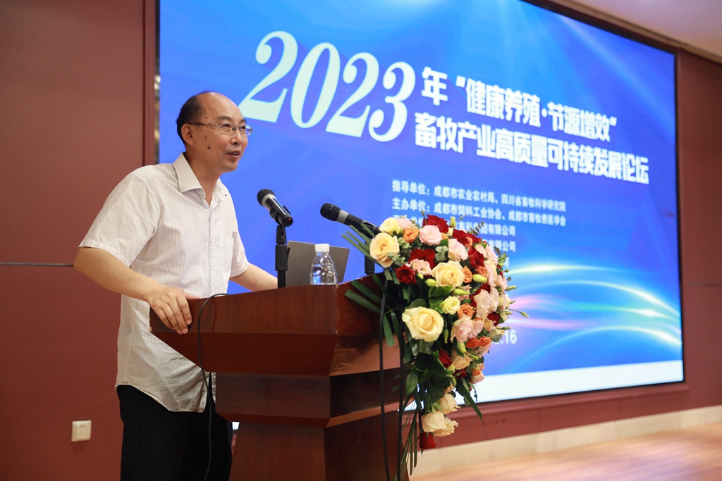 news09.jpg news09.jpg