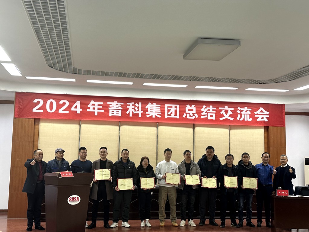 11_副本.jpg 11_副本.jpg